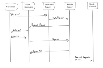 The SnipBit Application Flow